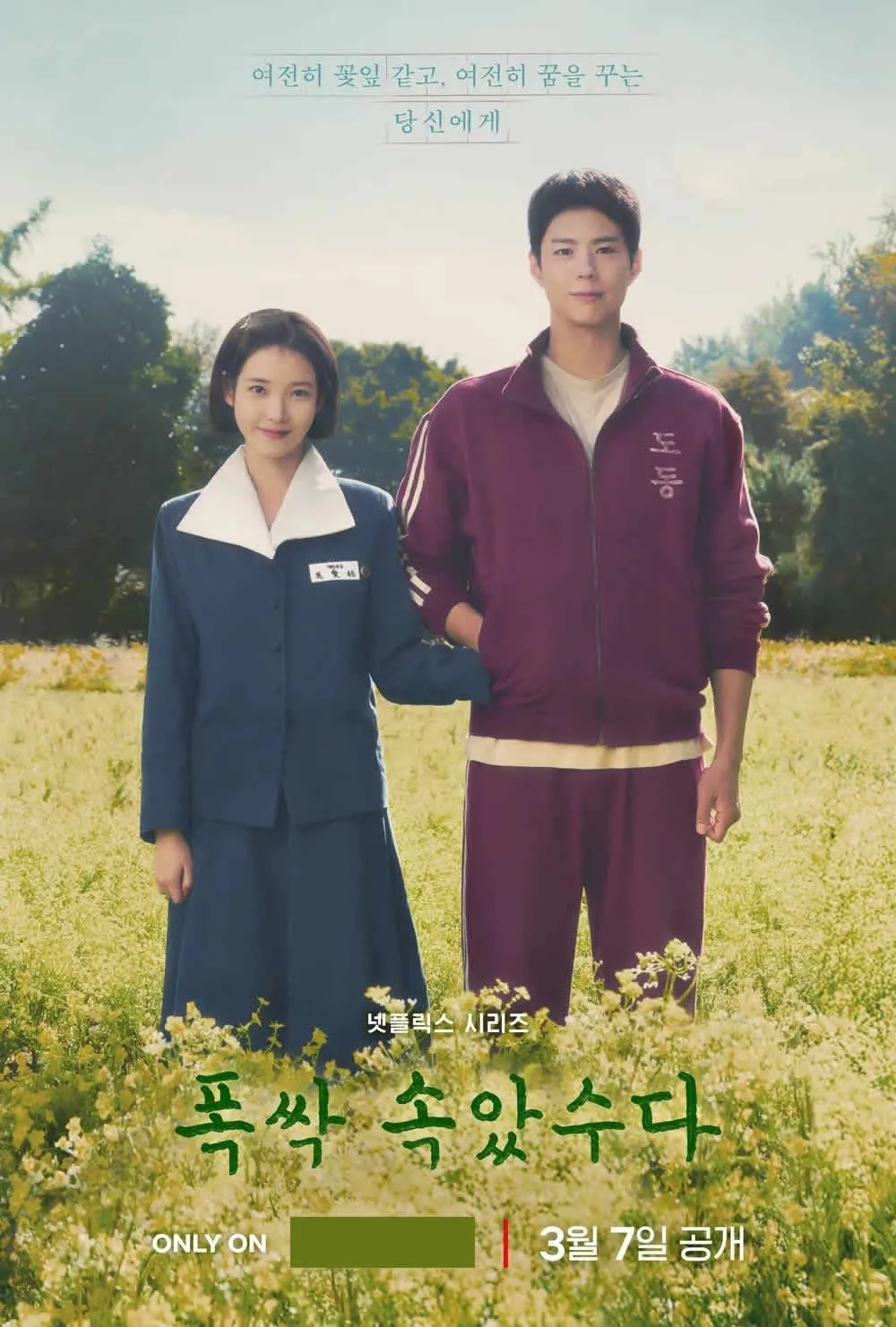 Dorama Se a Vida Te Der Tangerinas